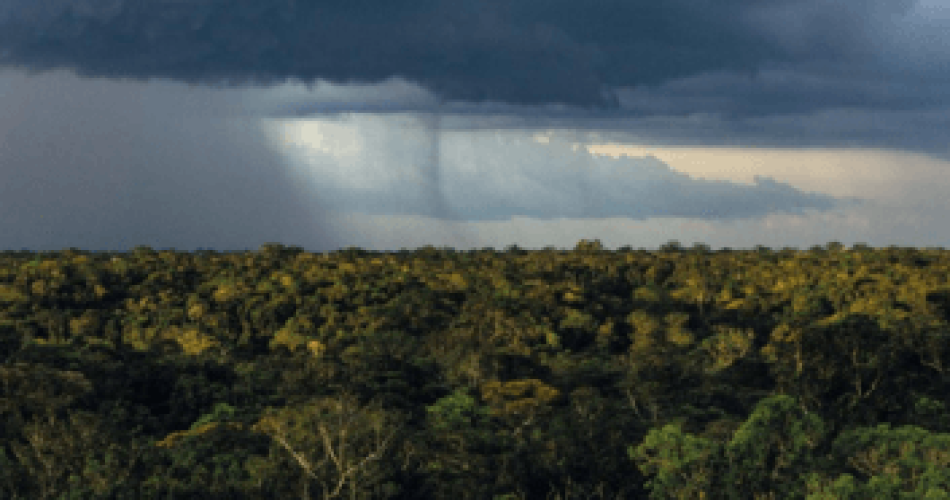 Chuvas Amazonas