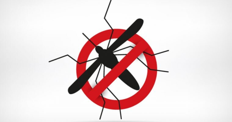 Combate Dengue