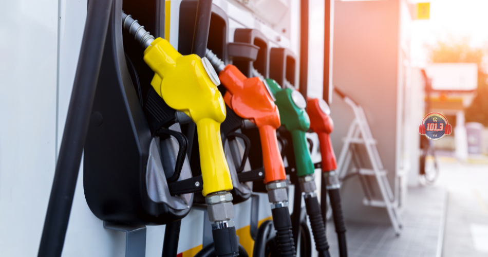 GASOLINA