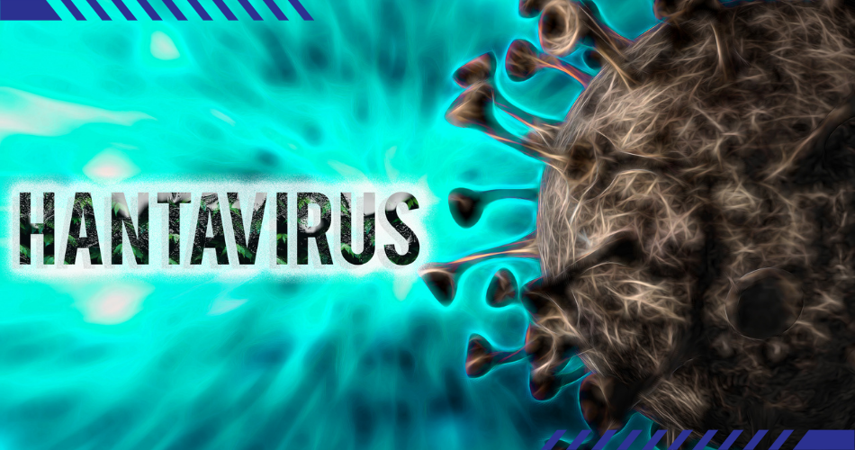 HANTAVIRUS