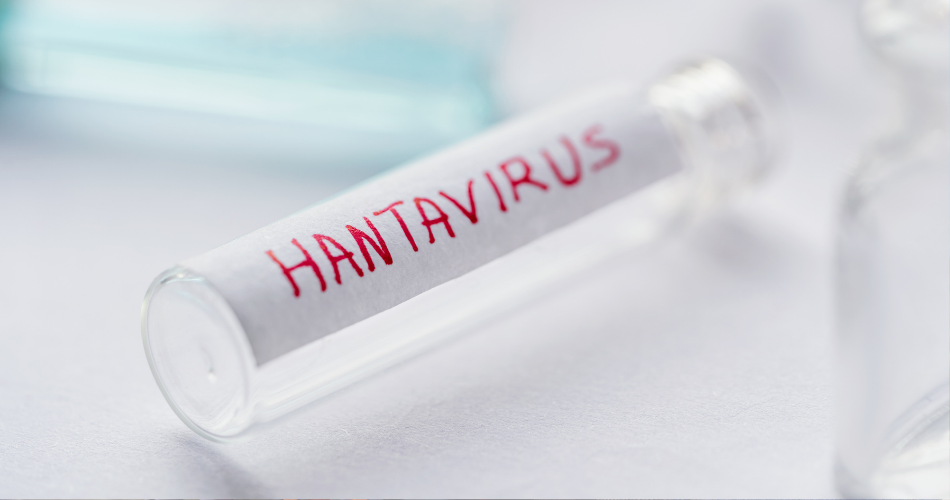 HANTAVIRUS