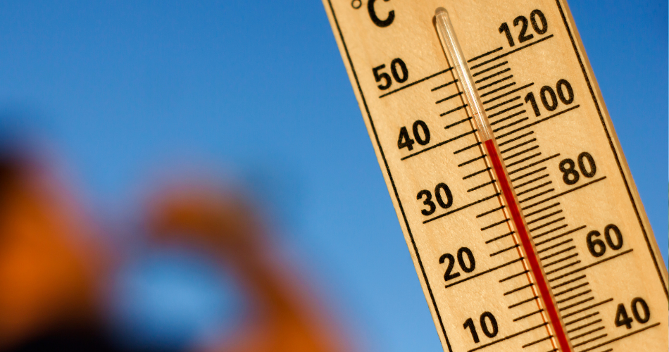 TEMPERATURA CALOR