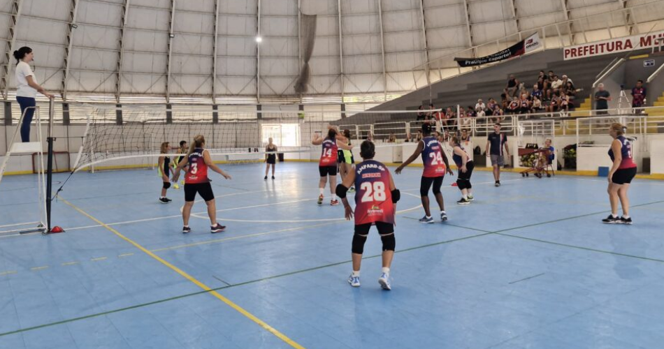 VOLEY ADAPTADO